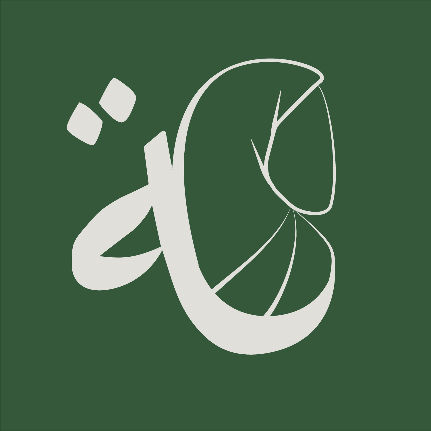 Faseeha Institute
